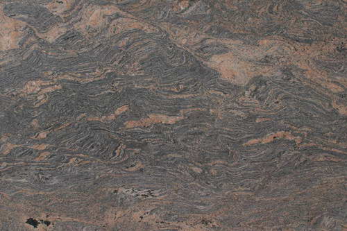 PARADISO BUSH